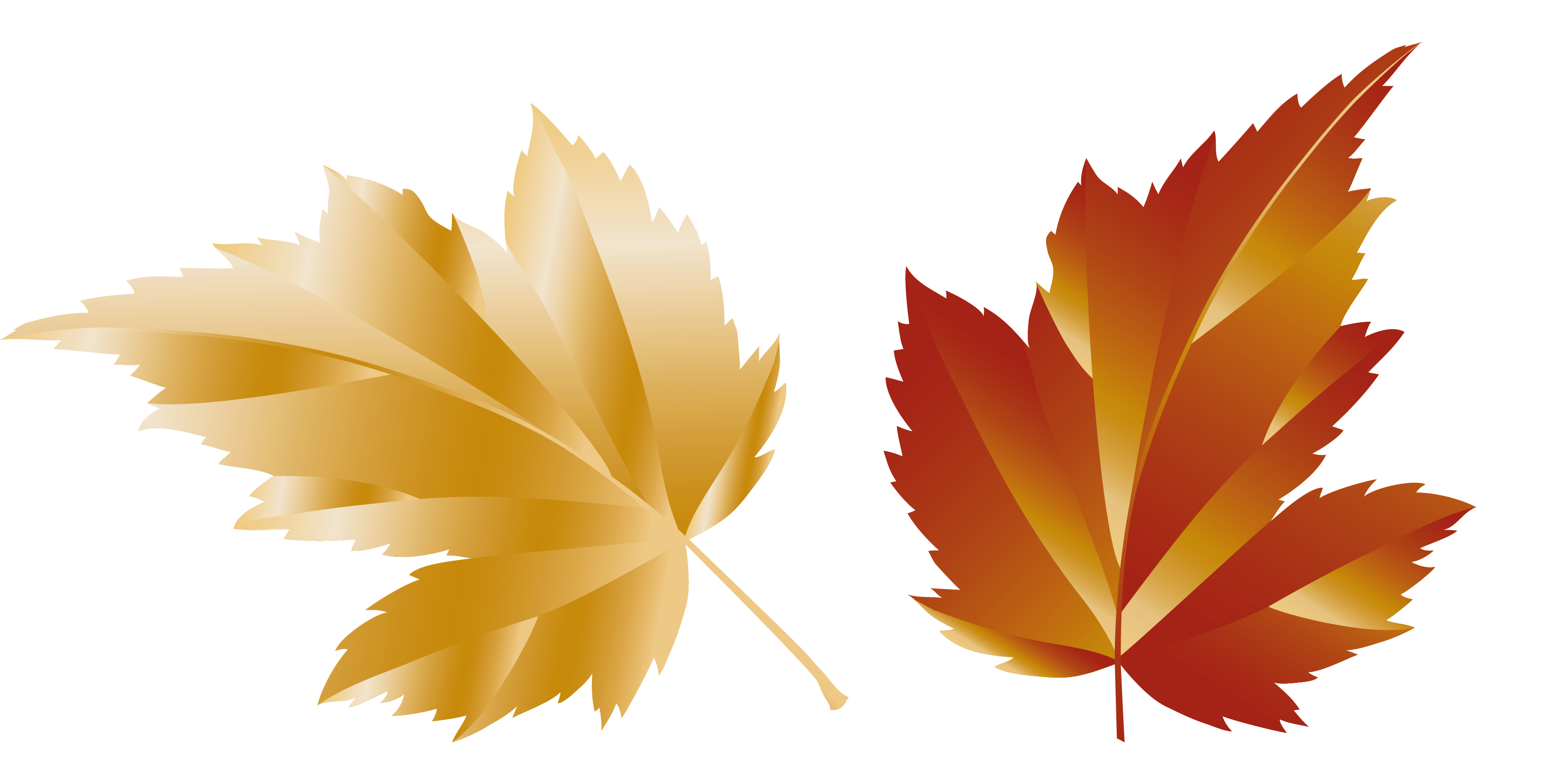 Autumn Plant Leaf Maple Transparent PNG Image