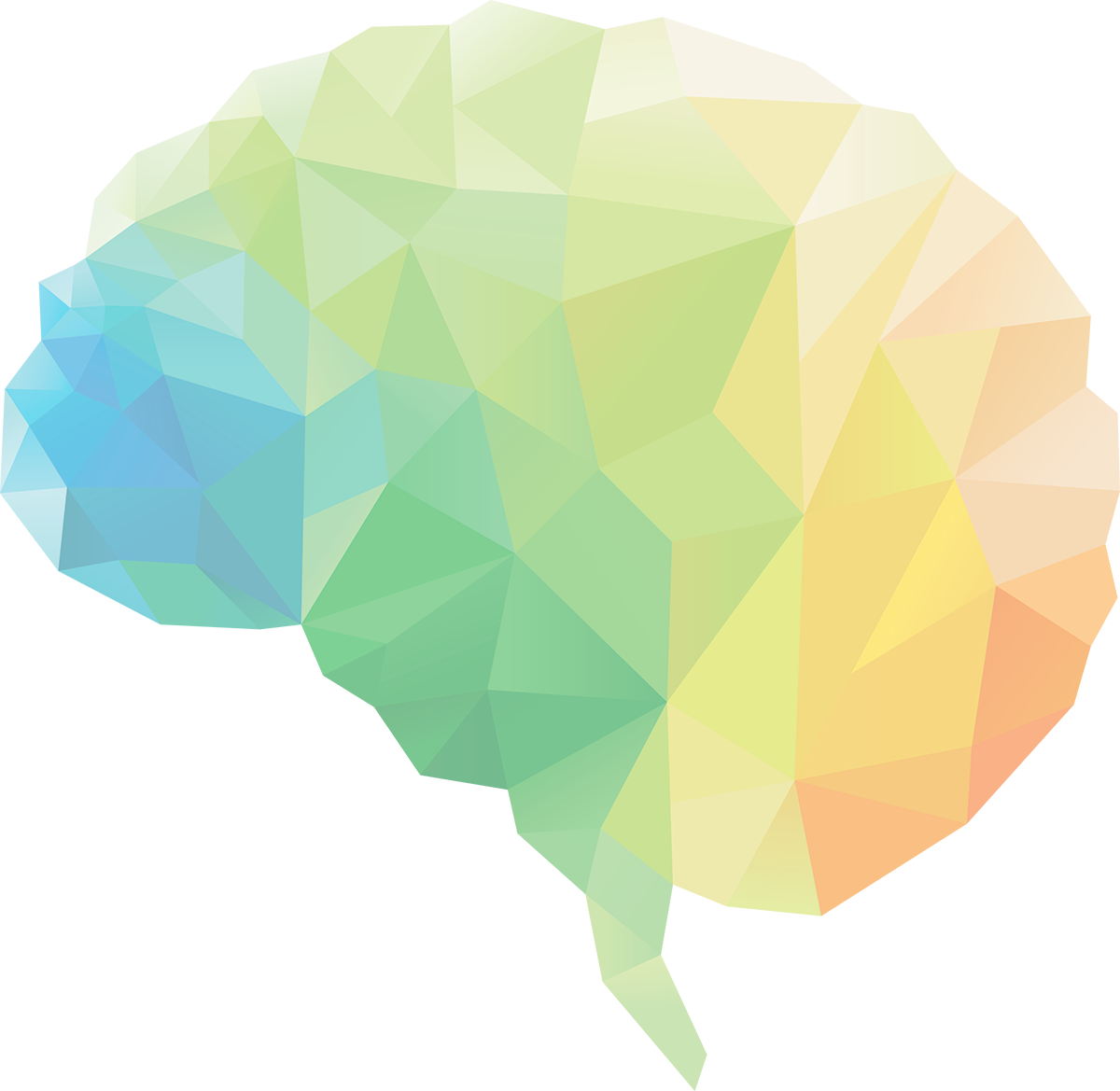 Brain Circle Leaf Human Neuroscience Transparent PNG Image