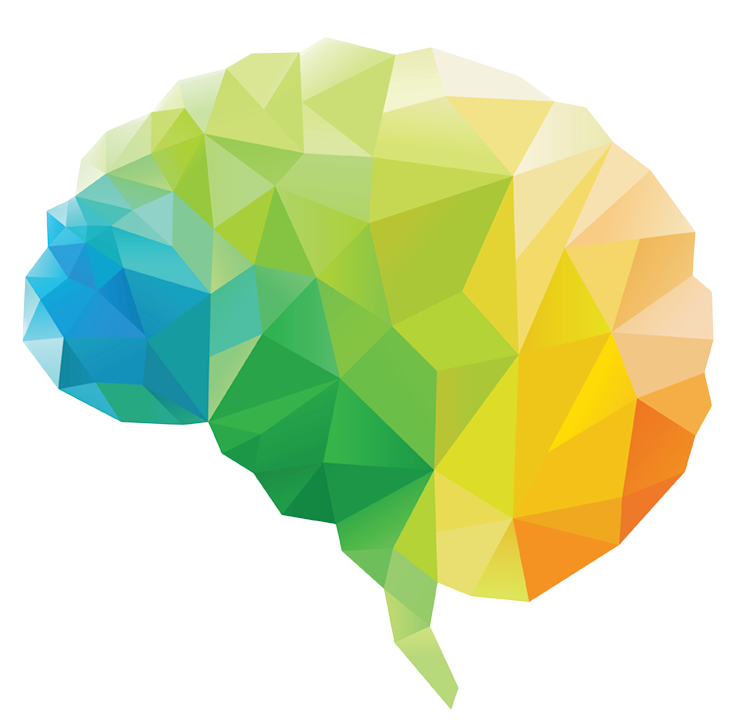 Brain Green Leaf Polygon Human Transparent PNG Image