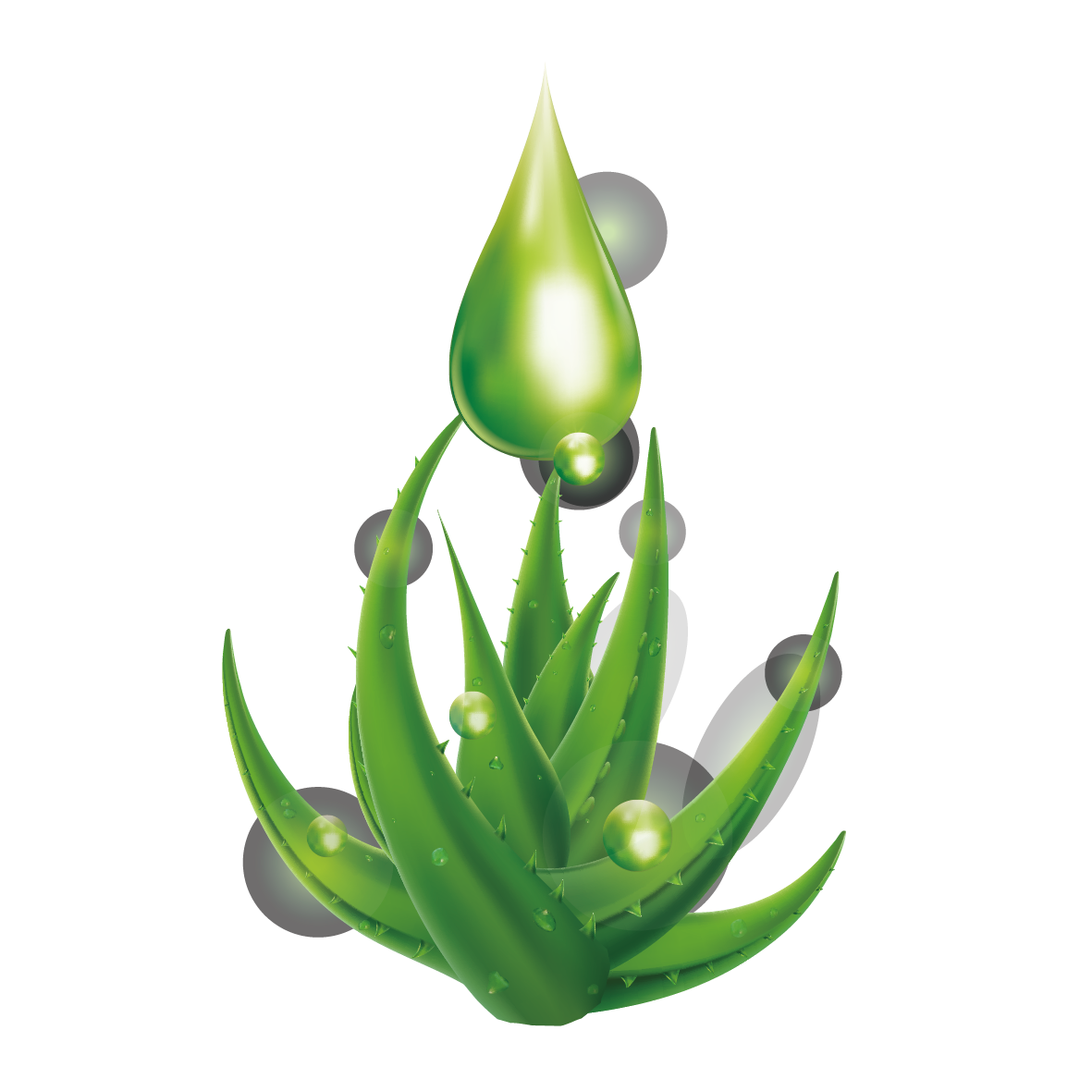 Water Drop Leaf Dew Transparent PNG Image