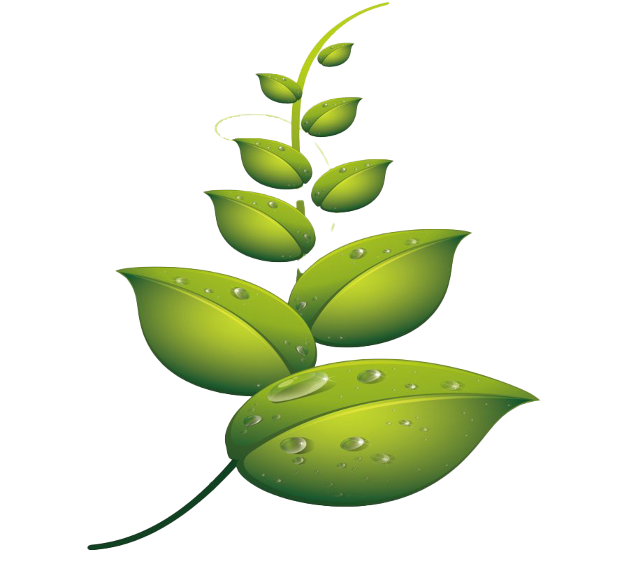Water Drop Leaf Dew File Transparent PNG Image
