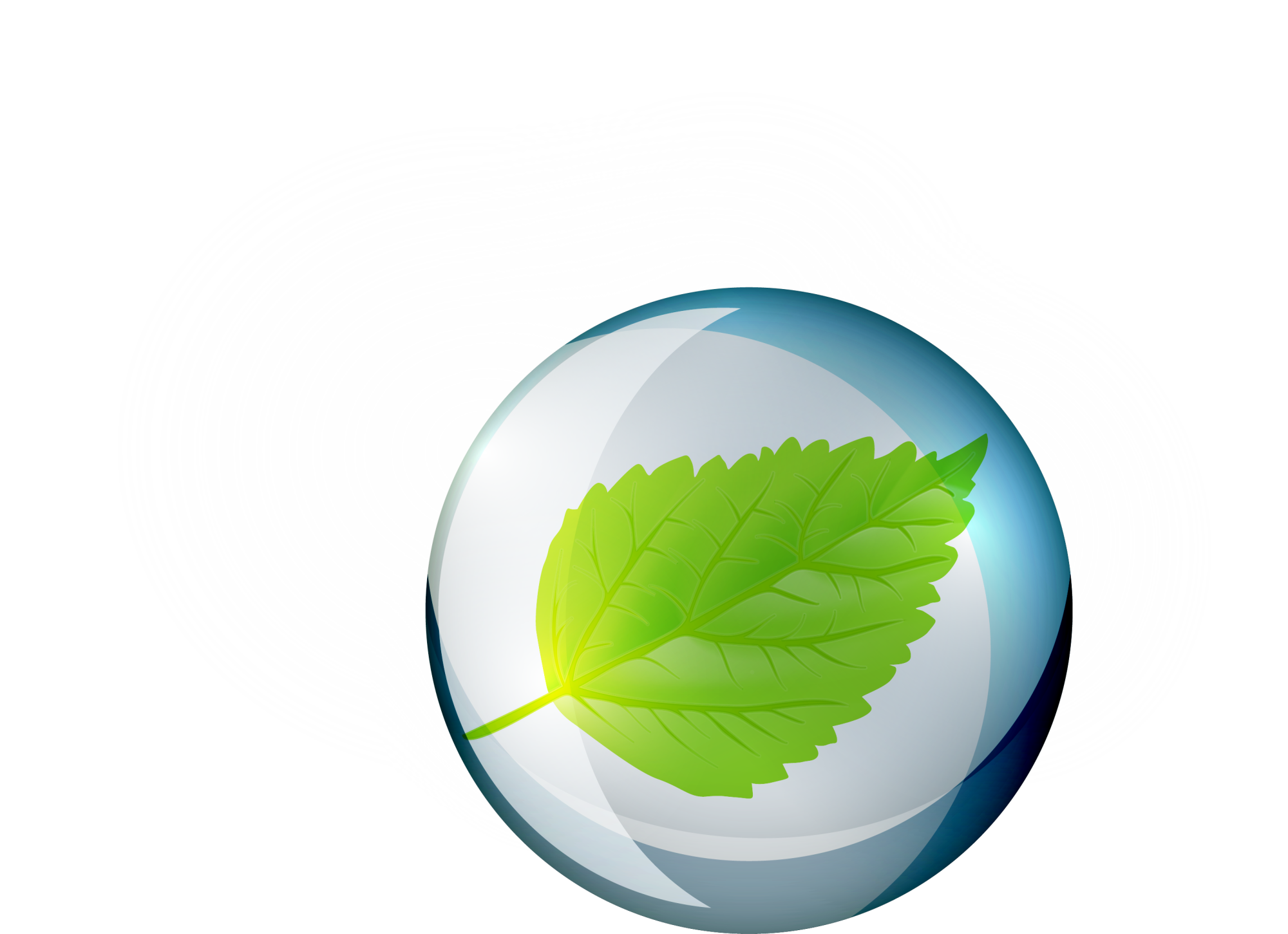 Water Drop Leaf Dew Transparent PNG Image