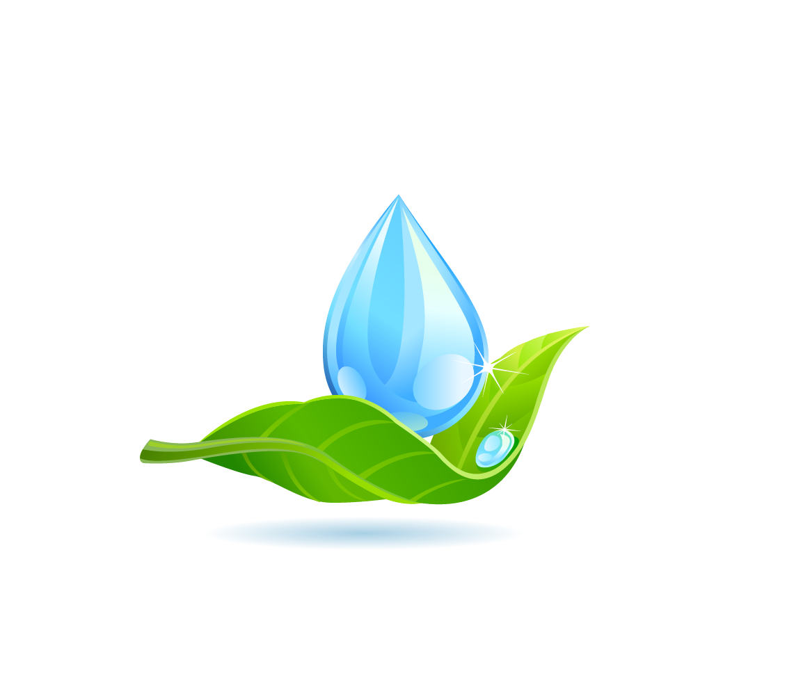 Water Drop Leaf Dew Transparent PNG Image