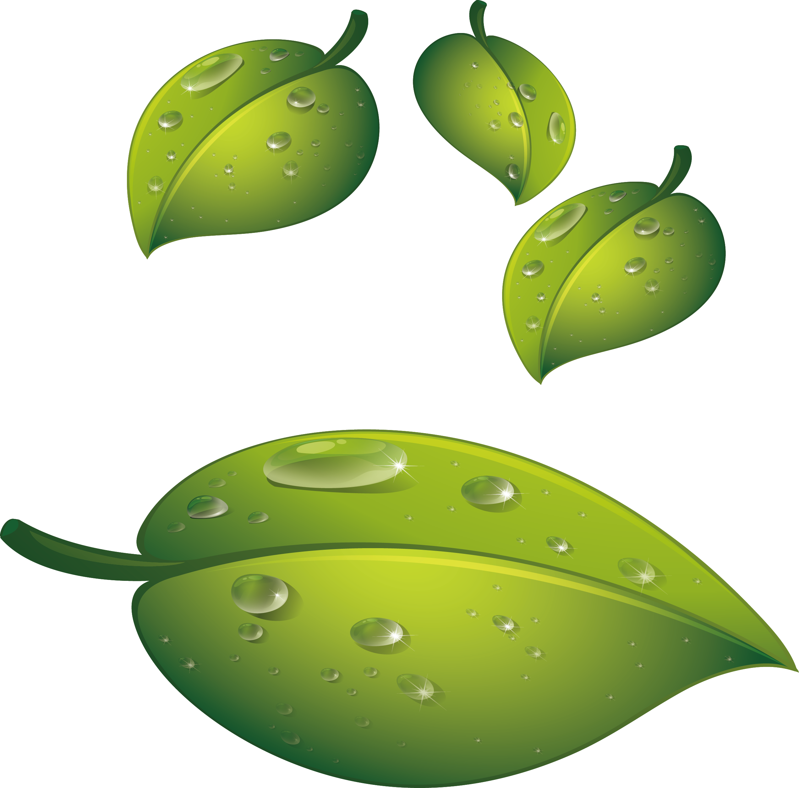 Water Drop Leaf Dew Transparent PNG Image