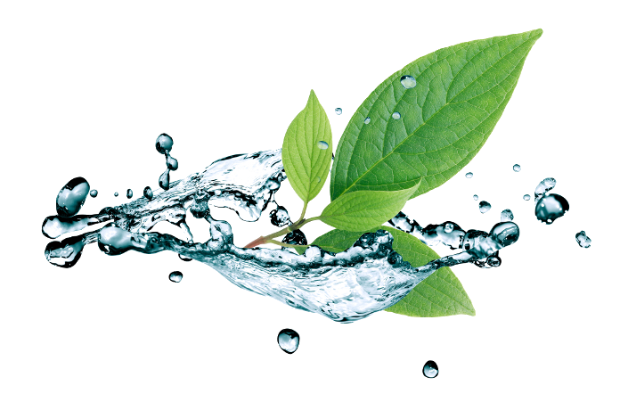 Water Drop Leaf Transparent PNG Image