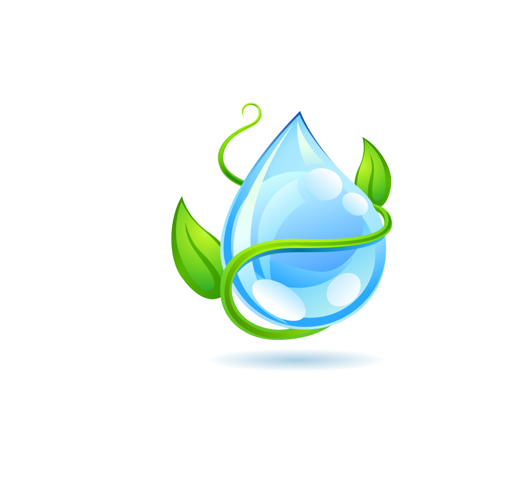 Water Leaf Tree Transparent PNG Image