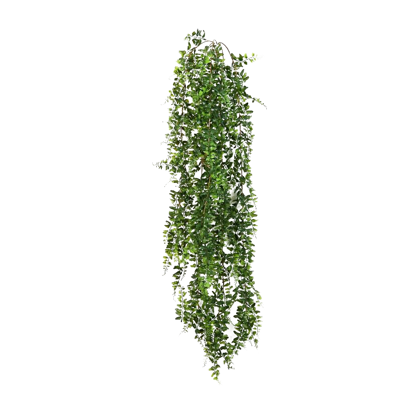Leaves Green Ivy Hanging Transparent PNG Image