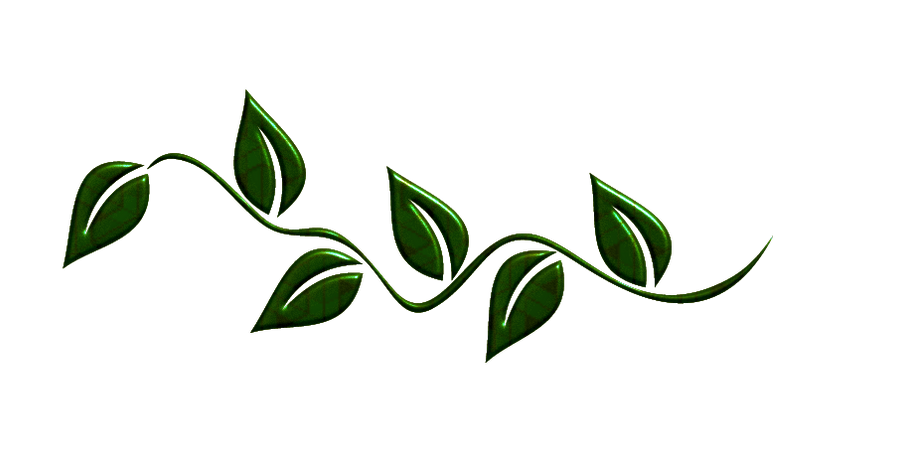 Leaves Green Transparent PNG Image