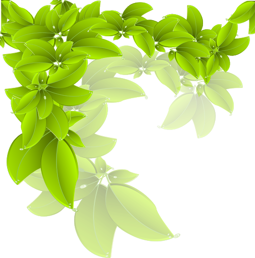 Green Leaves Organic Transparent PNG Image