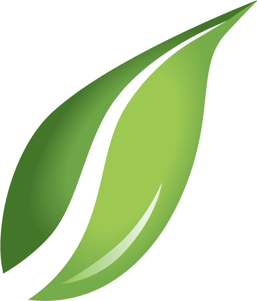 Single Green Leaves Transparent PNG Image