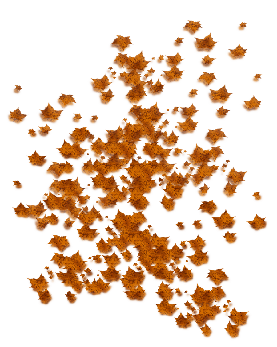 Falling Leaves Transparent PNG Image