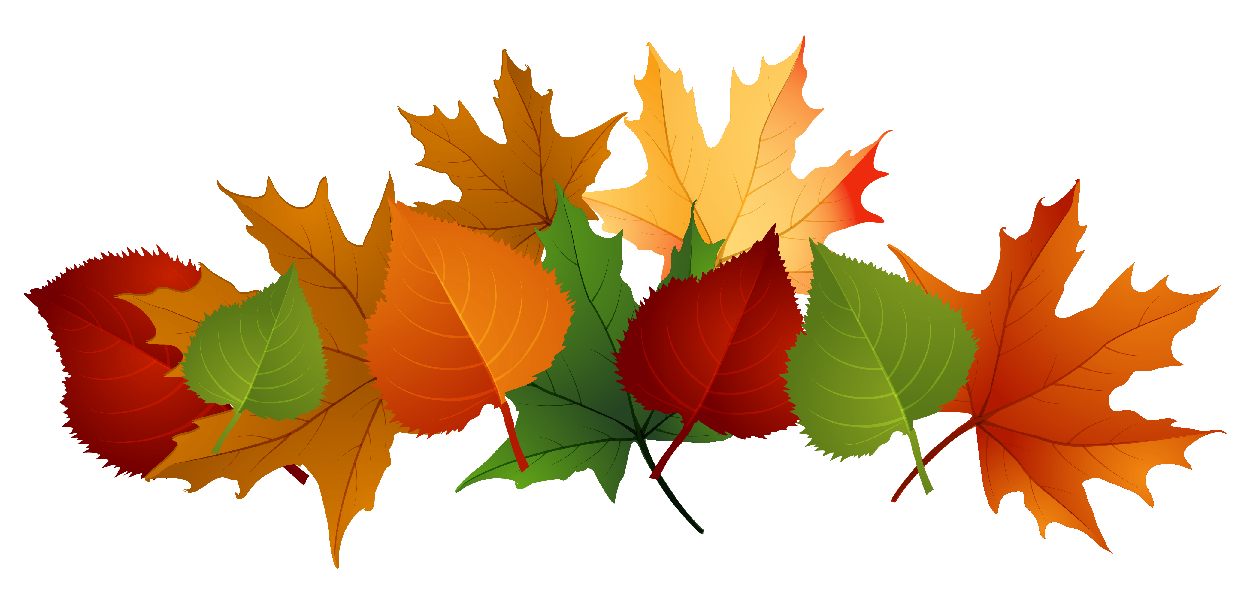 Autumn Leaves Transparent PNG Image