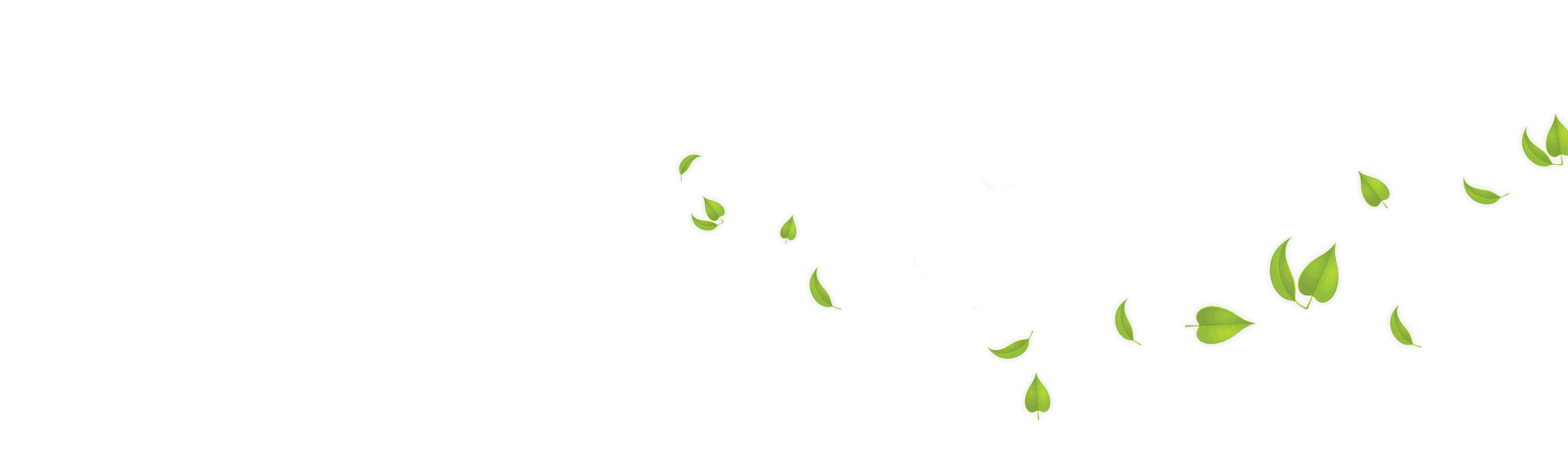 Green Leaves Background Transparent PNG Image