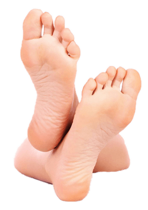 Foot Transparent PNG Image