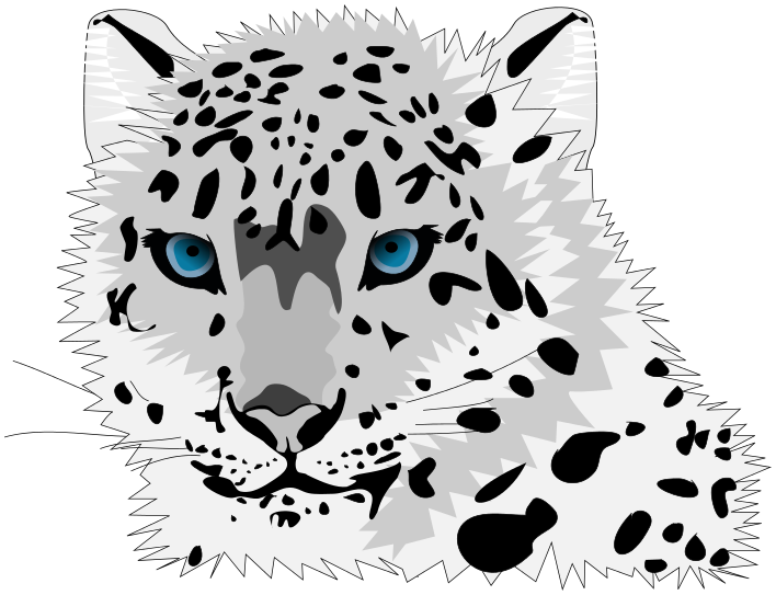 Leopard Transparent PNG Image