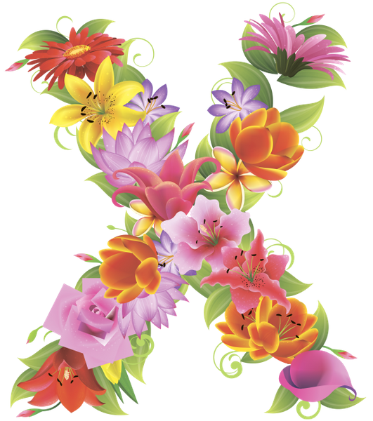 Alphabet Flower Transparent PNG Image