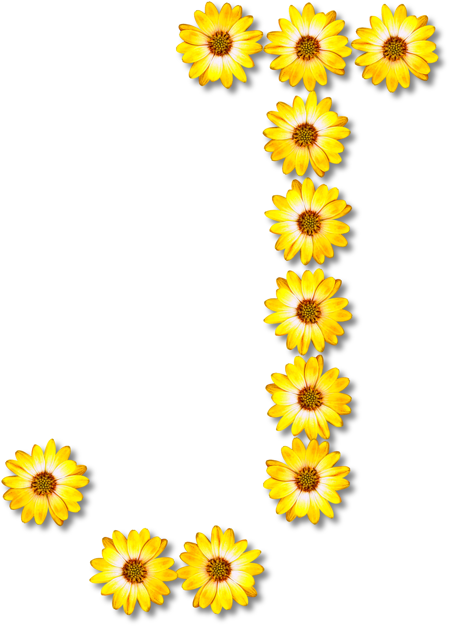 Alphabet Flower Transparent PNG Image