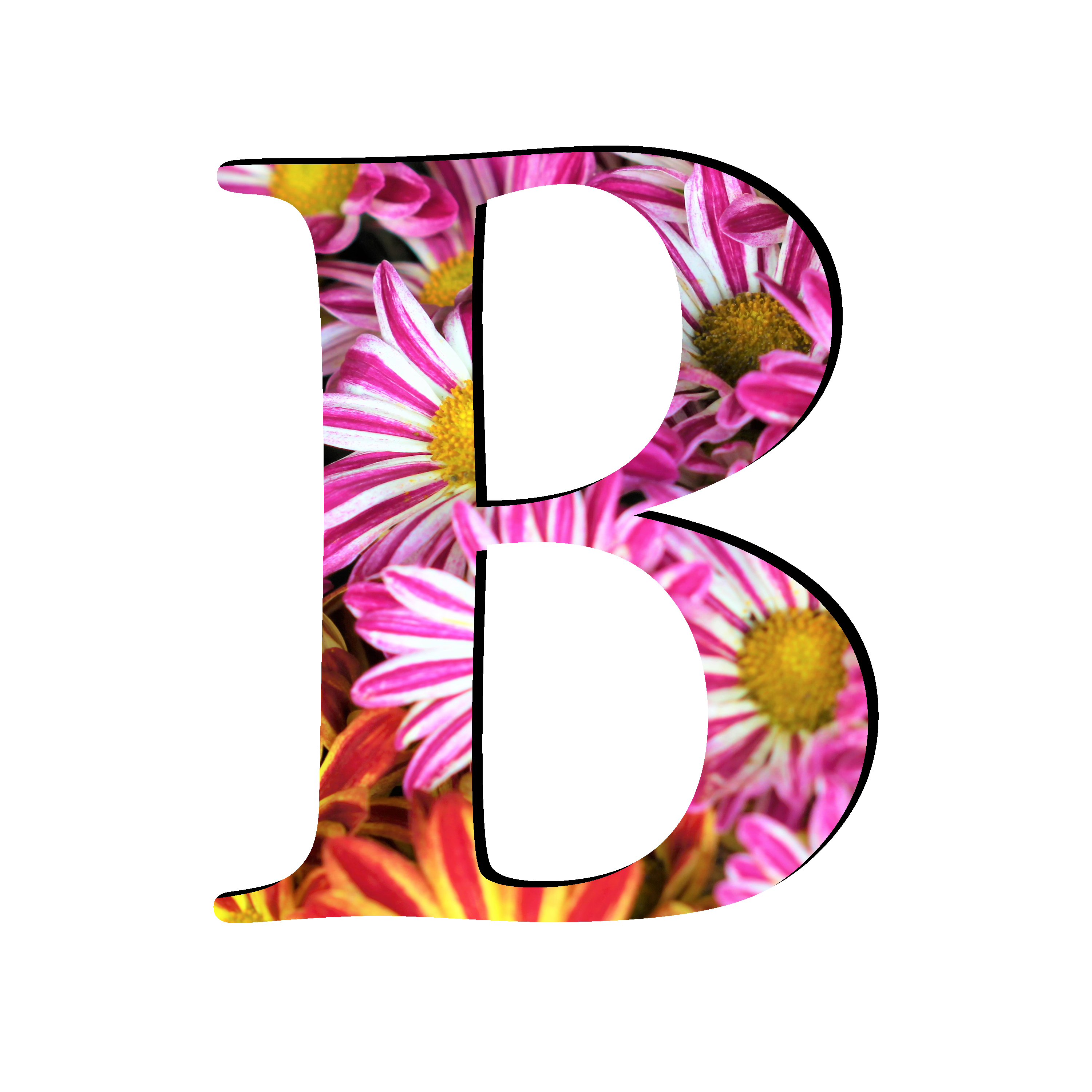 B Letter Transparent PNG Image