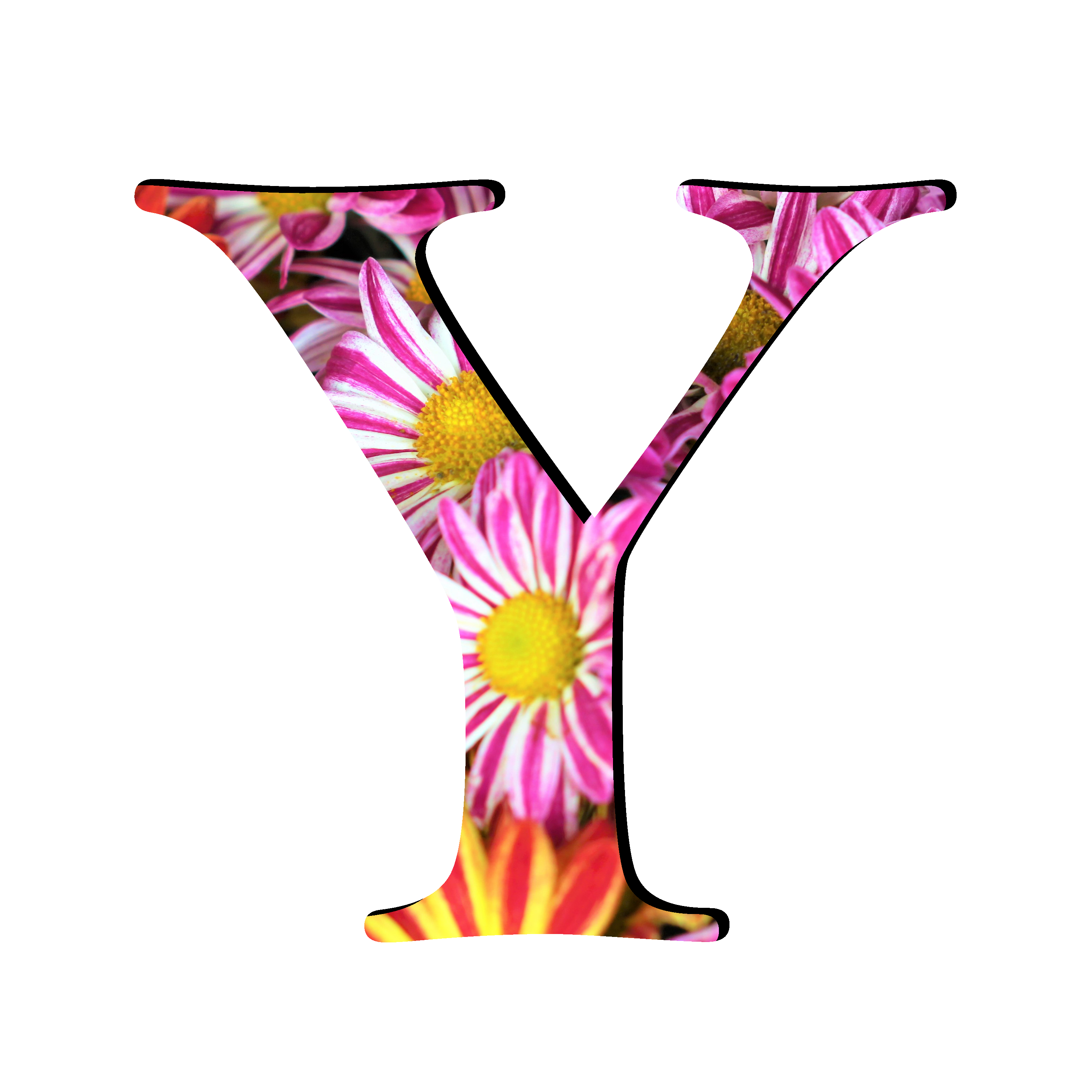 Y Letter Transparent PNG Image