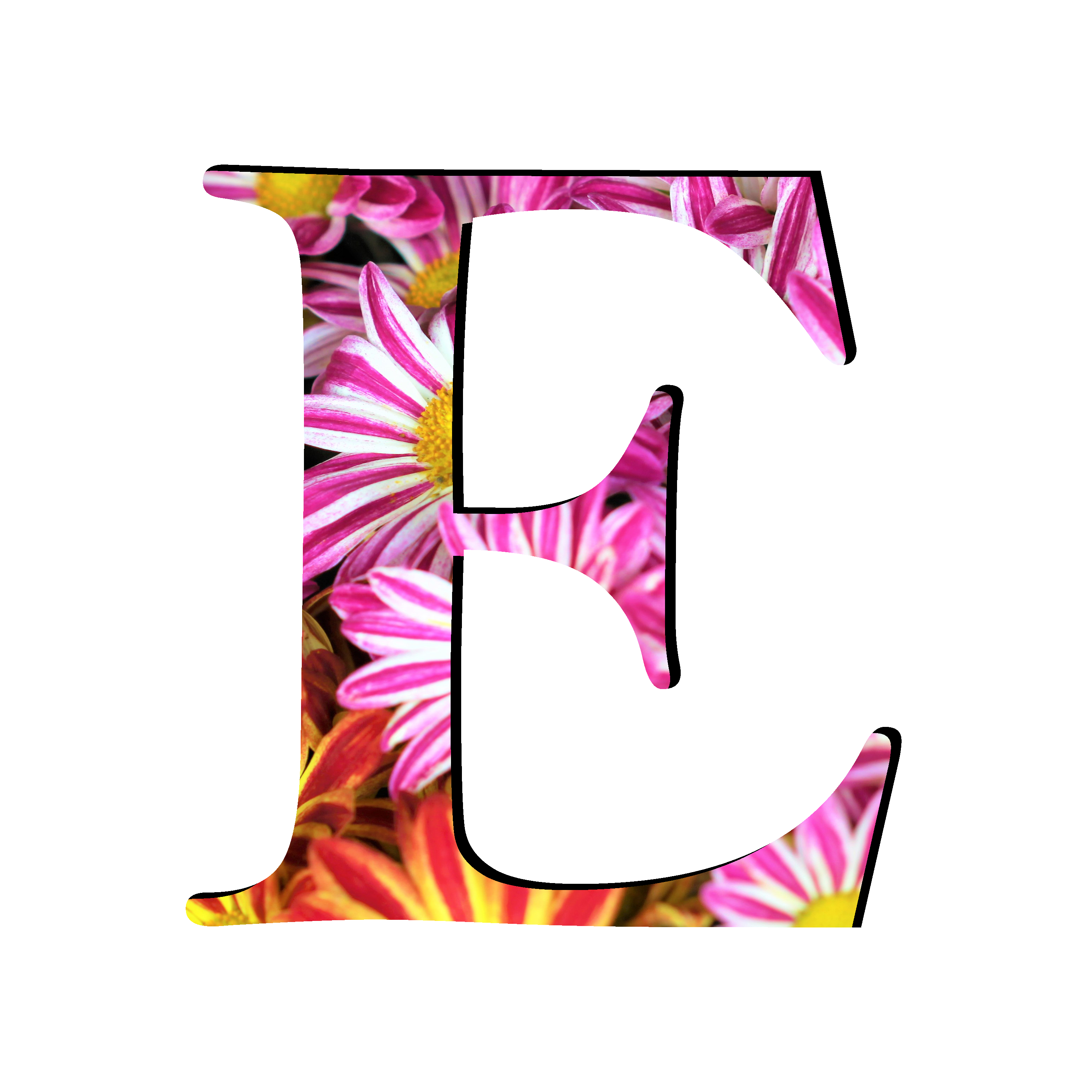 E Letter Transparent PNG Image