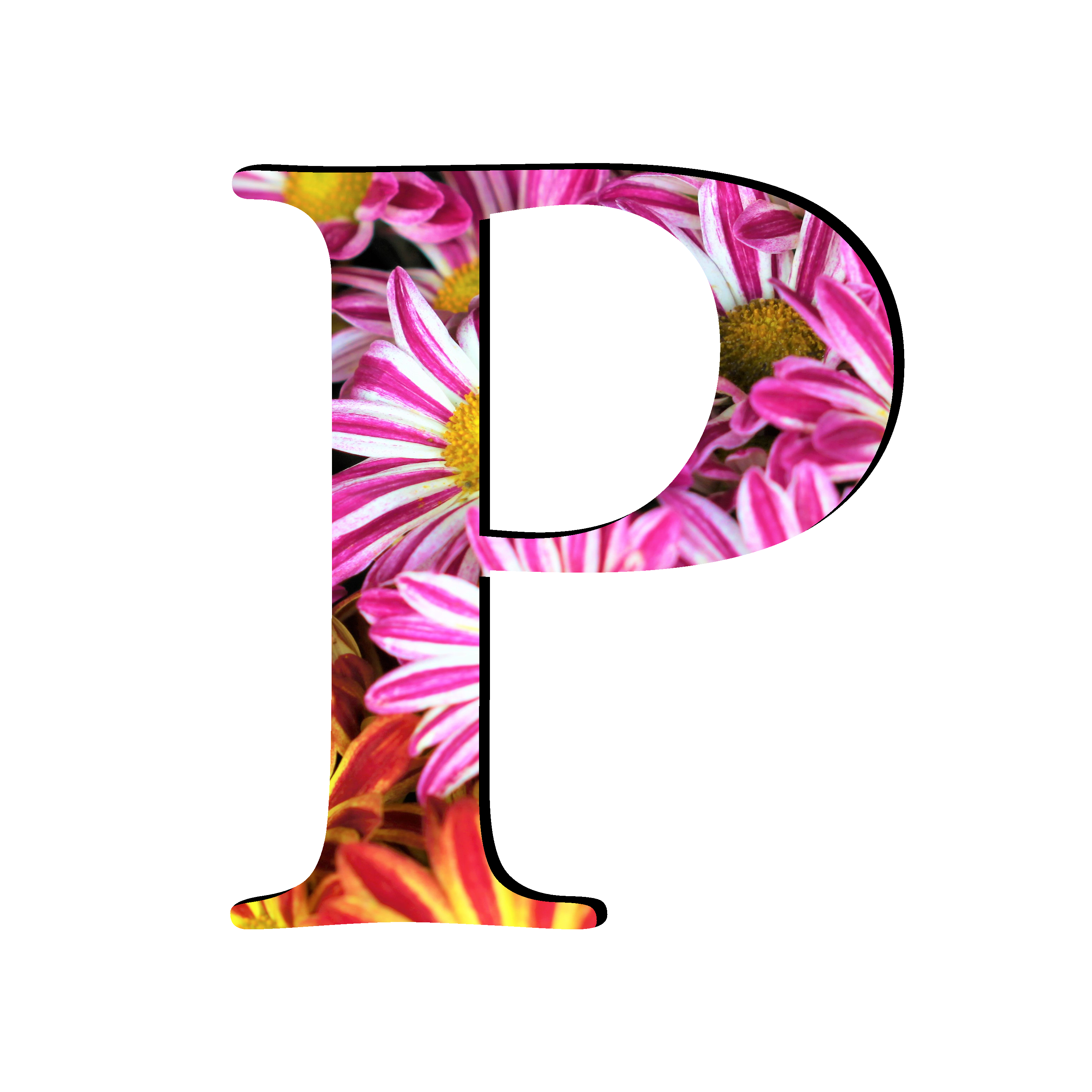 P Letter Transparent PNG Image