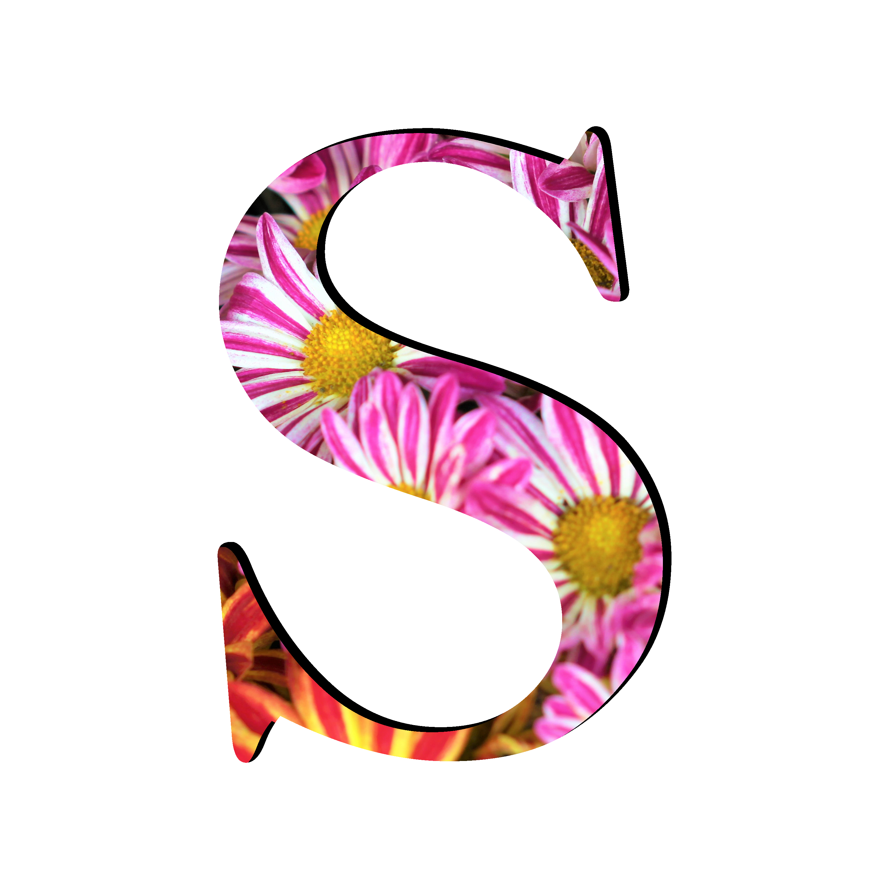 S Letter Transparent PNG Image