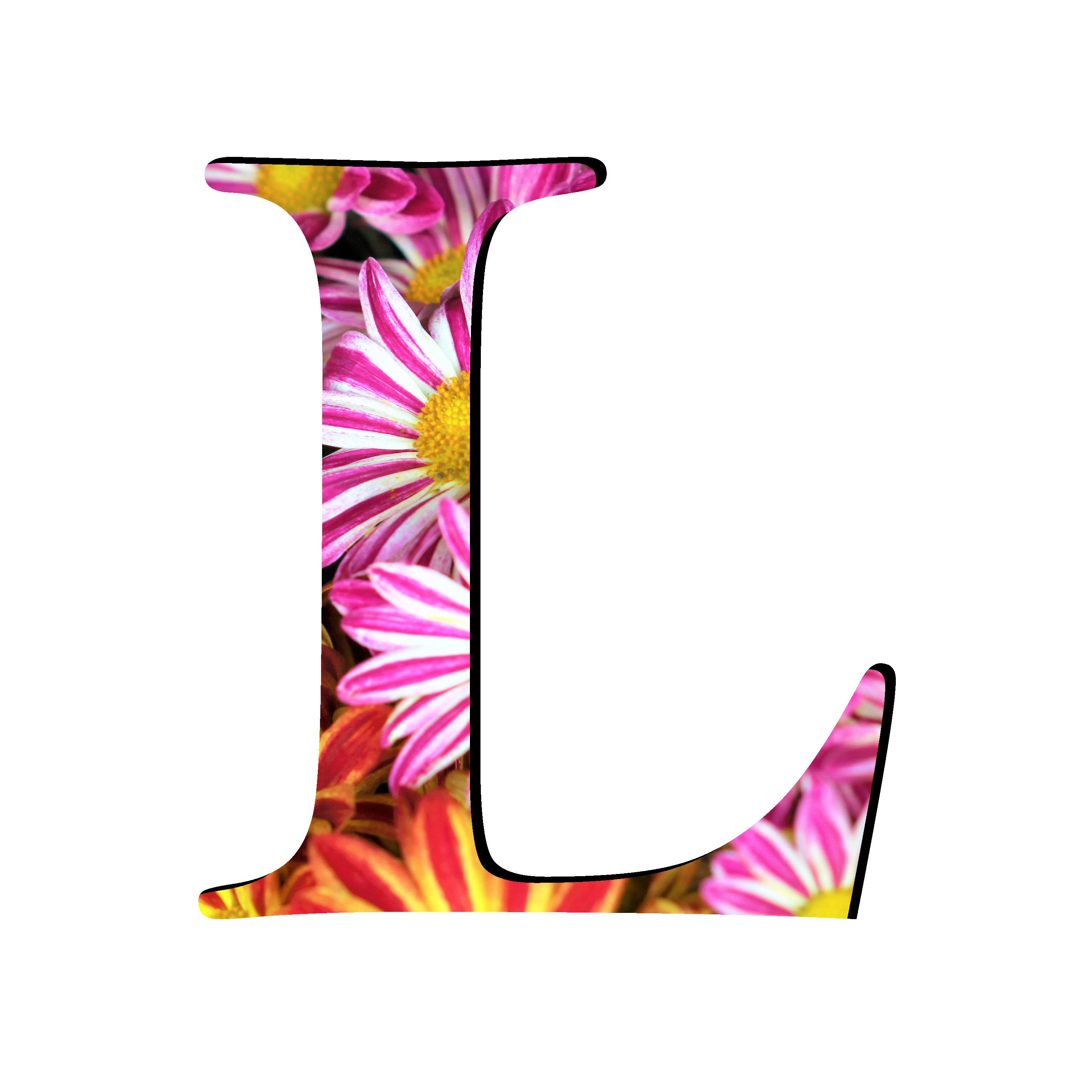 L Letter Transparent PNG Image