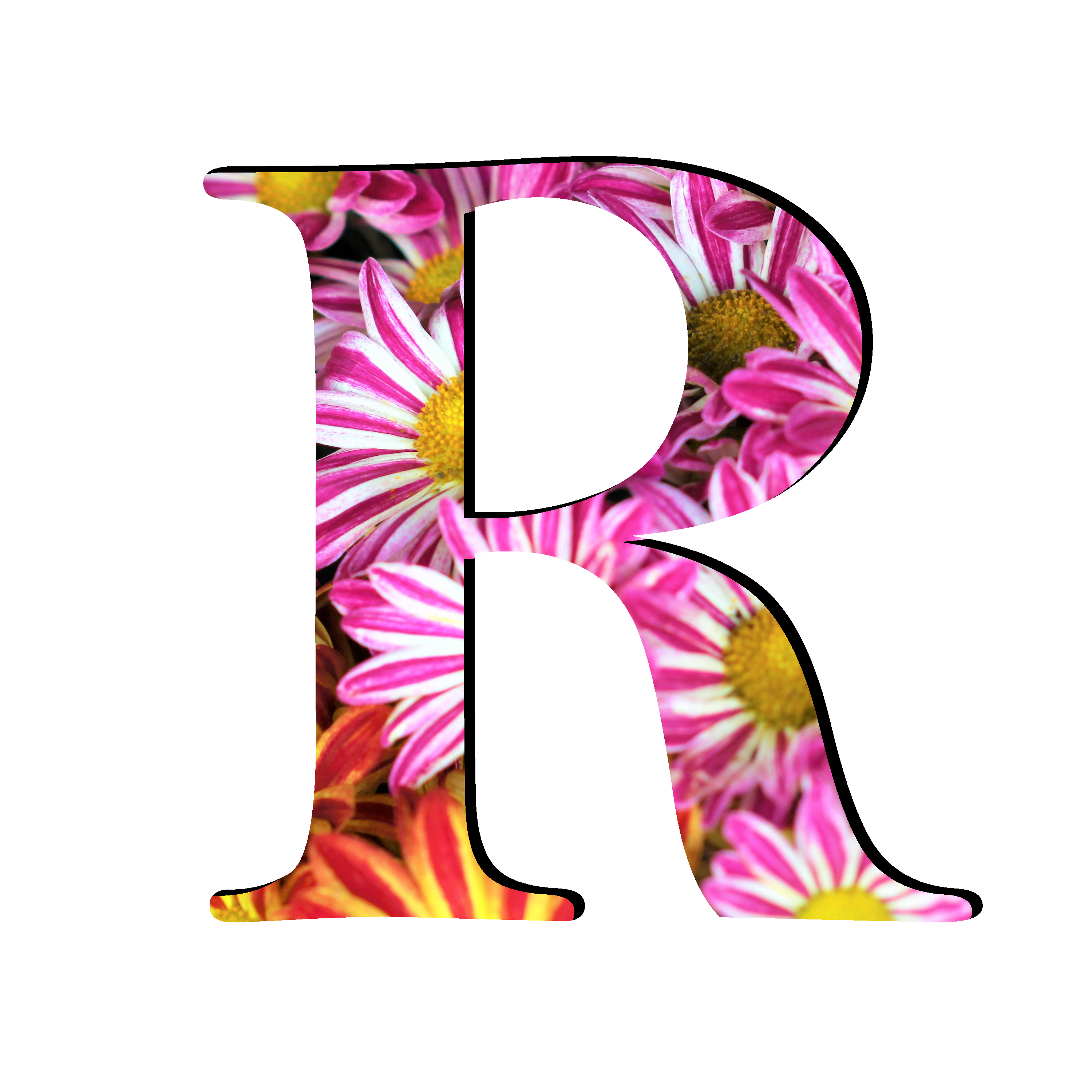 R Letter Transparent PNG Image