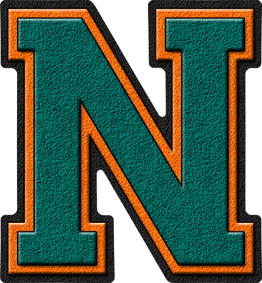 N Letter Transparent PNG Image