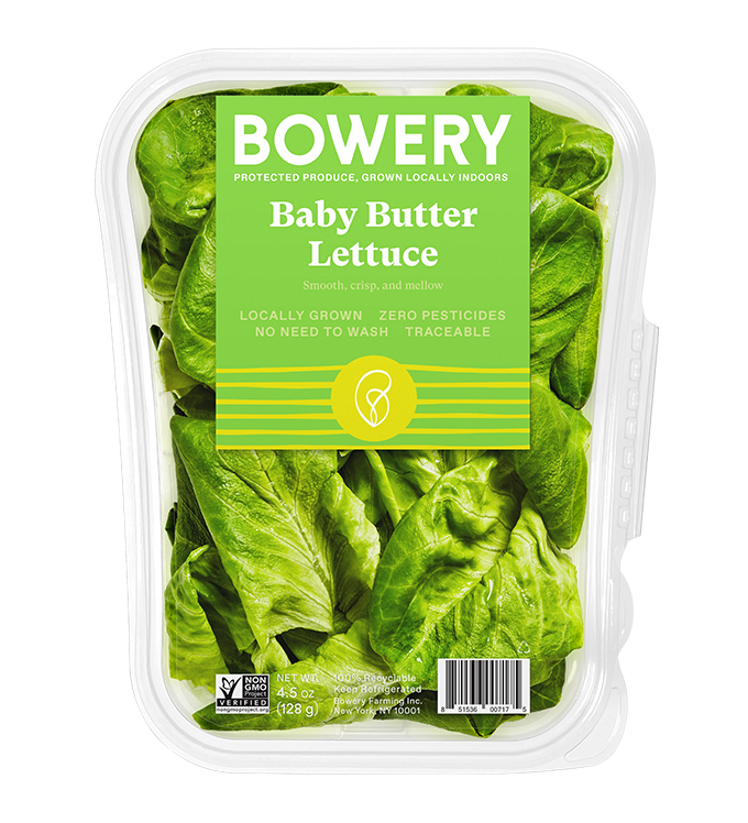 Lettuce Organic Butterhead Transparent PNG Image
