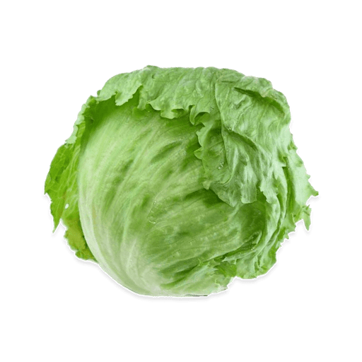 Lettuce Green Butterhead Transparent PNG Image