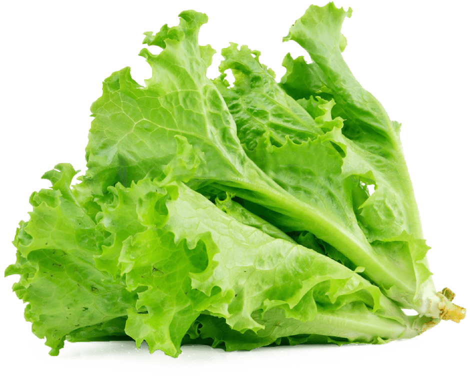 Lettuce Green Transparent PNG Image