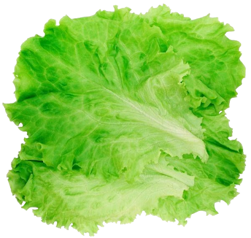 Lettuce Green Transparent PNG Image