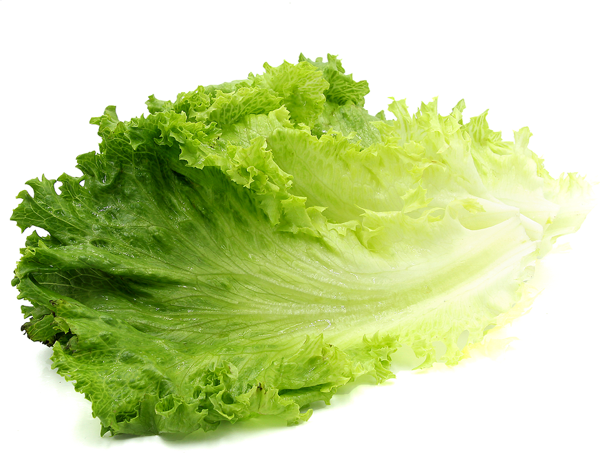 Green Organic Lettuce Transparent PNG Image