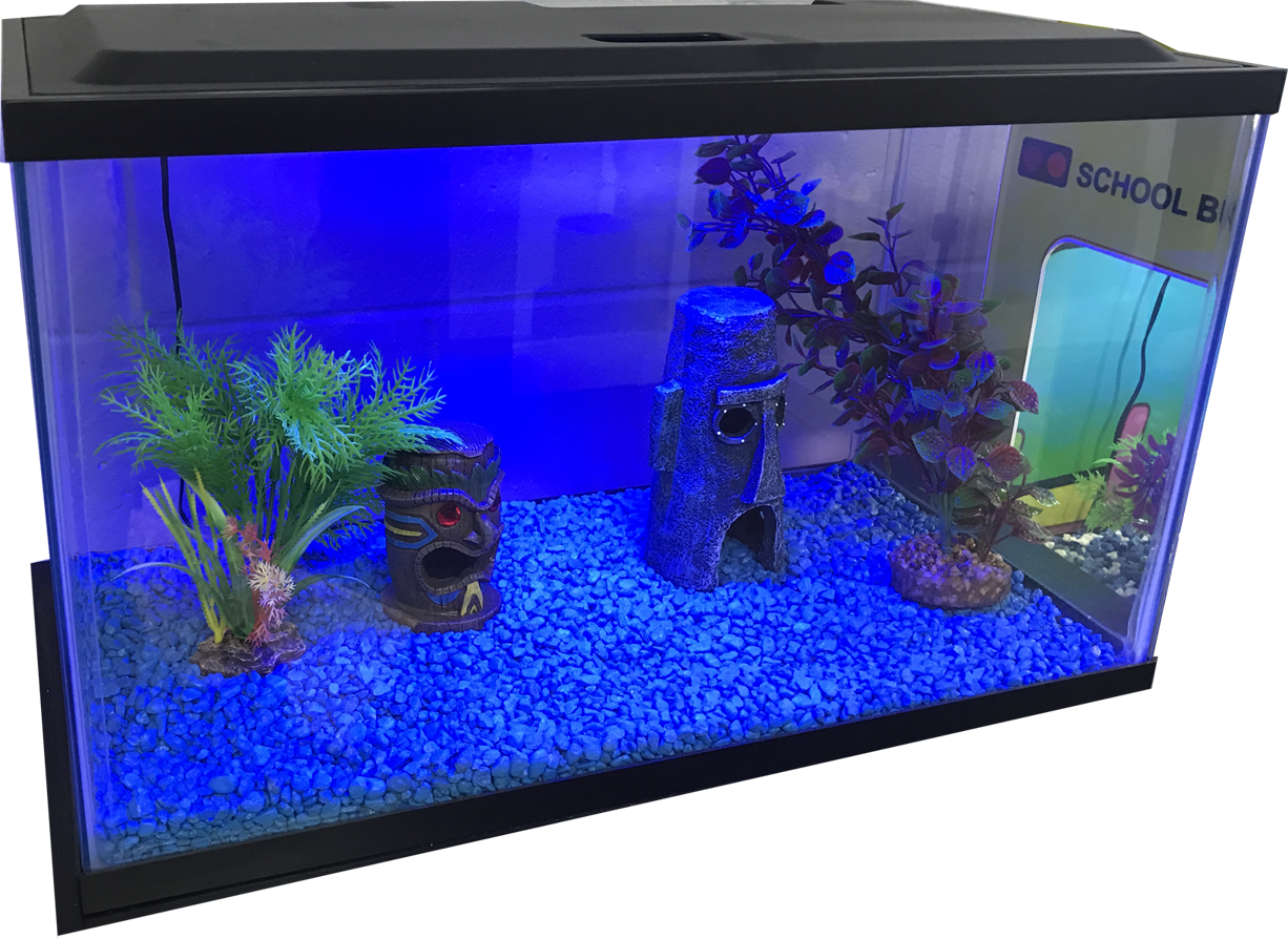 Blue Light Fish Tank Transparent PNG Image