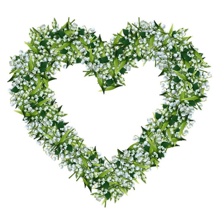 Lily Of The Valley Transparent PNG Image