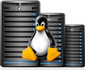Linux Hosting Transparent PNG Image