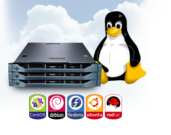 Linux Hosting Transparent PNG Image