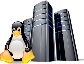 Linux Hosting Transparent PNG Image