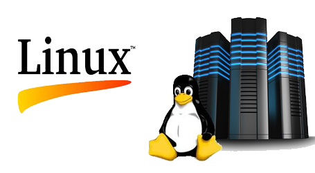 Linux Hosting Transparent PNG Image