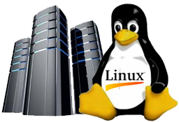 Linux Hosting File Transparent PNG Image