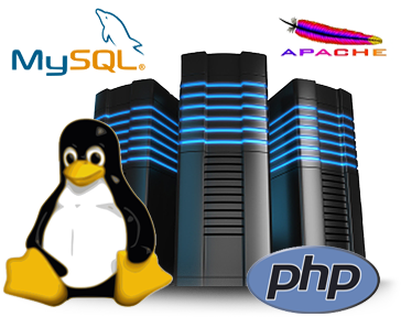 Linux Hosting Transparent PNG Image