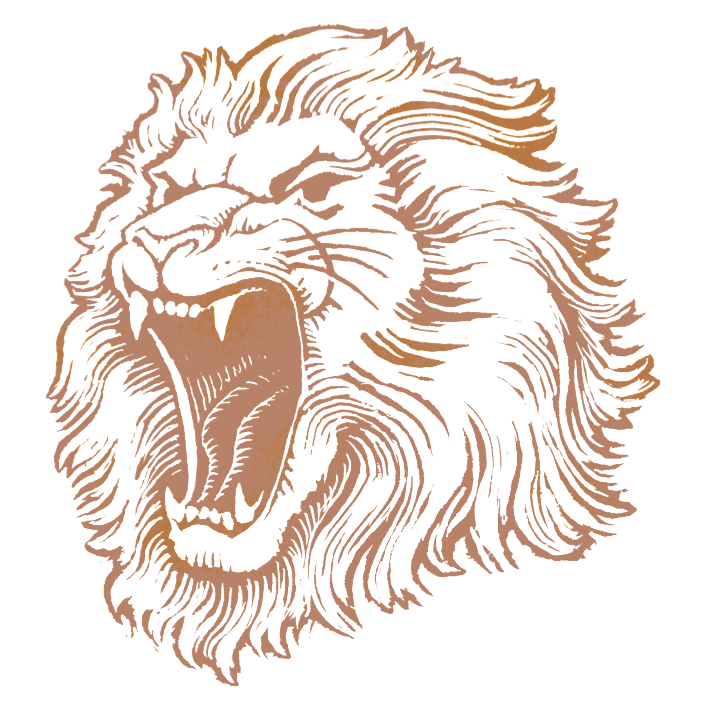 Lion Head Transparent PNG Image