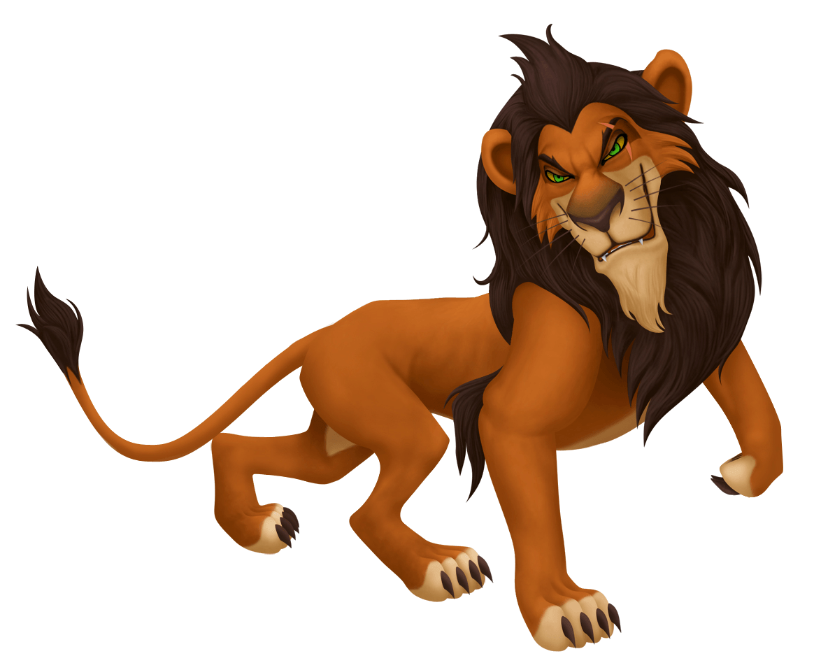 Lion Lions Transparent PNG Image