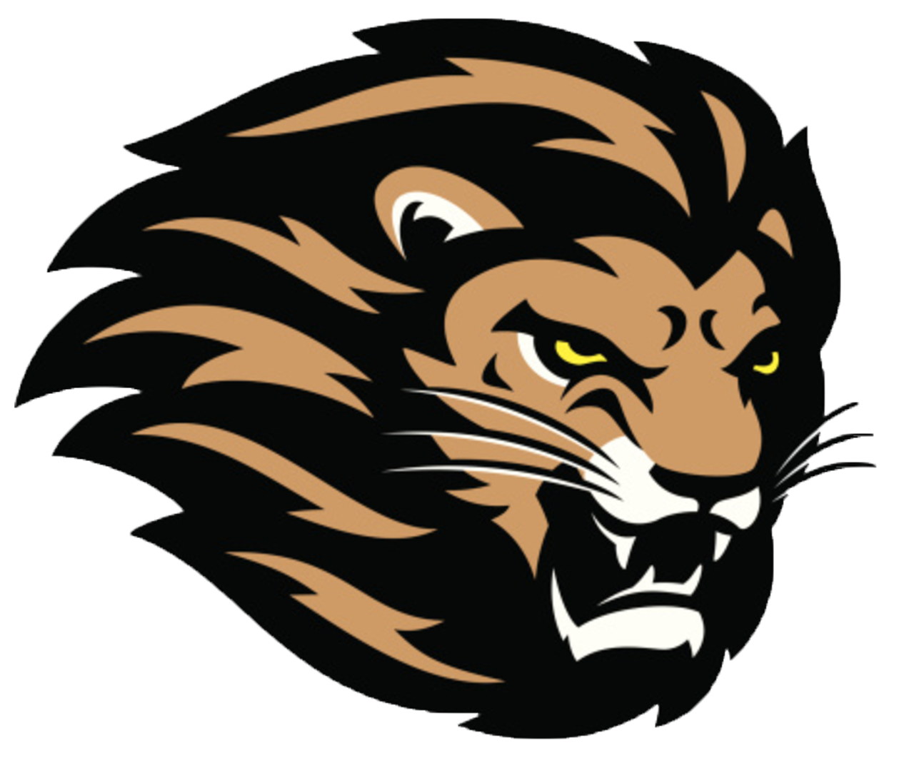 Lion Lions Head Royalty- Transparent PNG Image