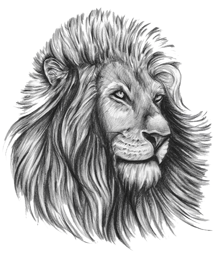 Lion Tattoo Transparent PNG Image