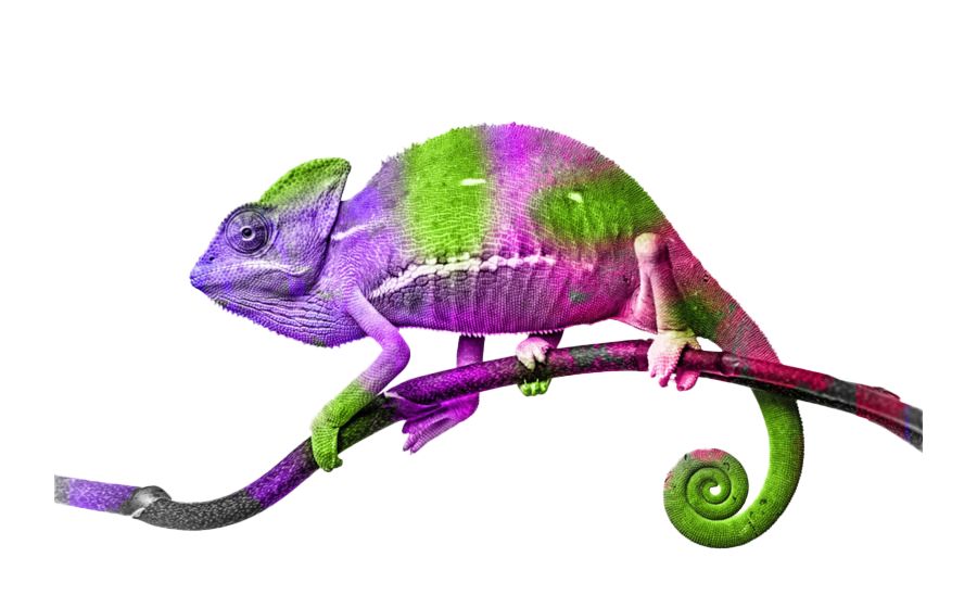 Purple Lizard File Transparent PNG Image
