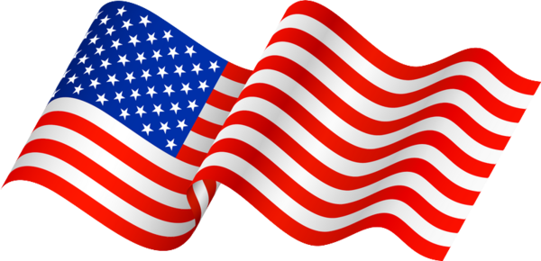 Logo American Flag Transparent PNG Image