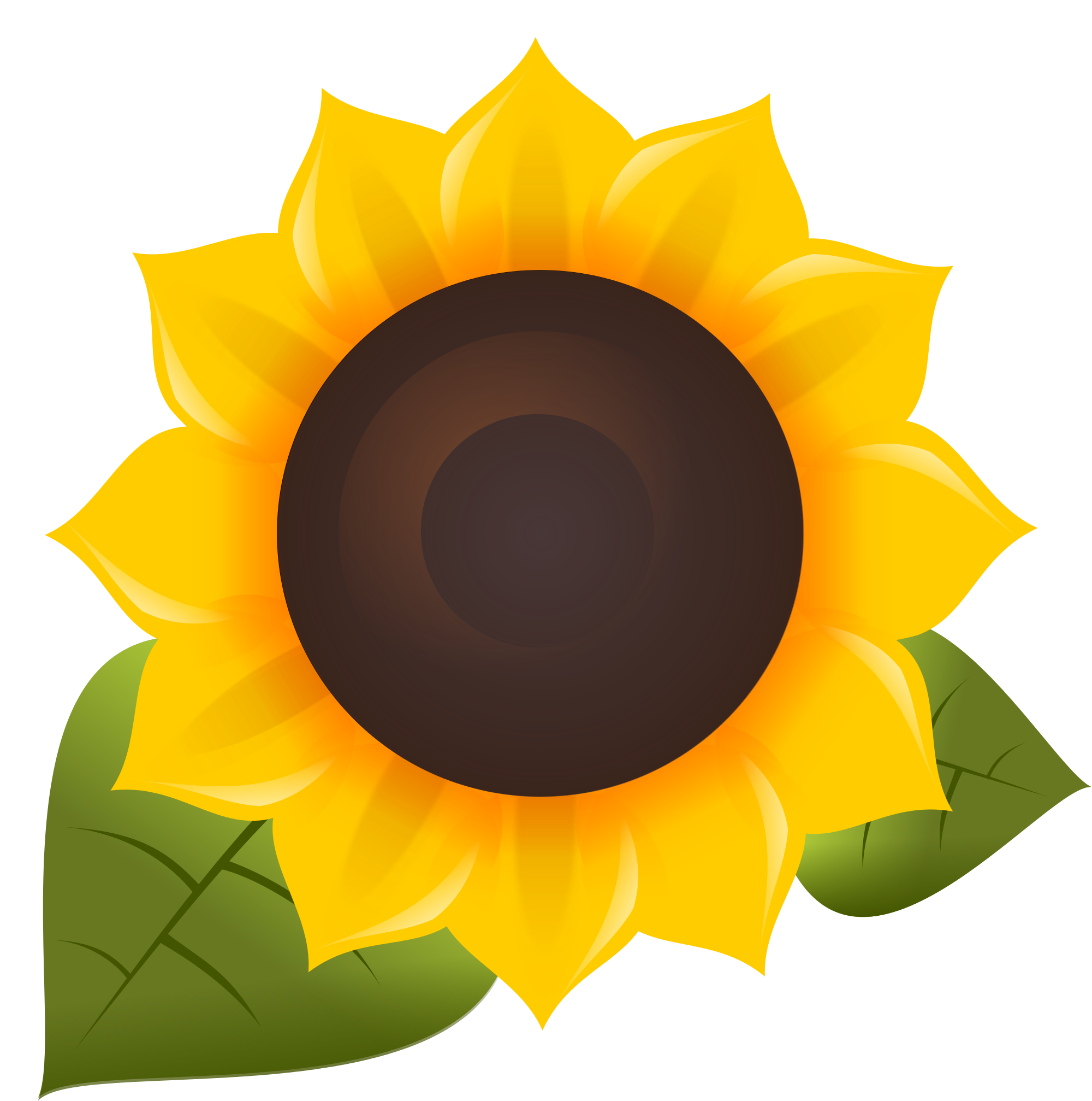 Oil Common Sunflower Software Transparent PNG Image