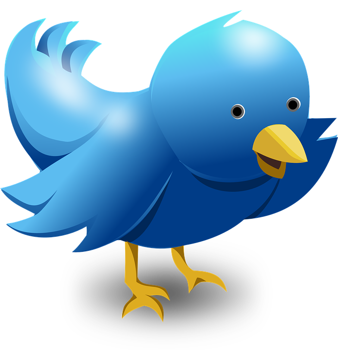 Cuteness Logo Twitter Bird Illustration Transparent PNG Image